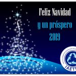 Felices Fiestas 208-2019